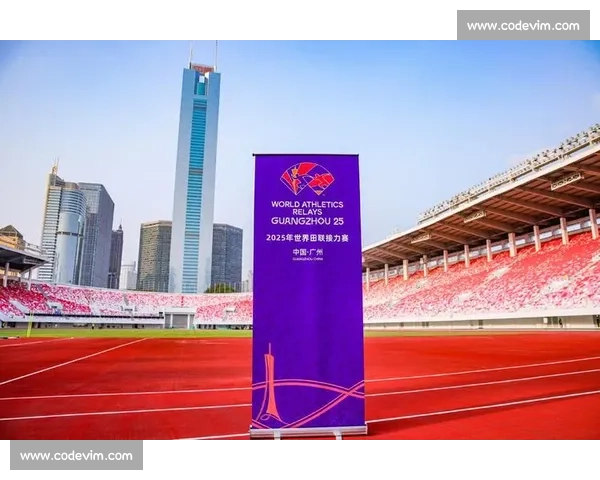 聚焦体育赛事免费看平台打造全民畅享观赛新体验升级高清互动服务