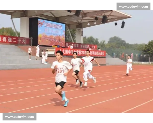 科学统筹体育赛事赛程安排提升观赛体验与竞技公平性研究深度策略